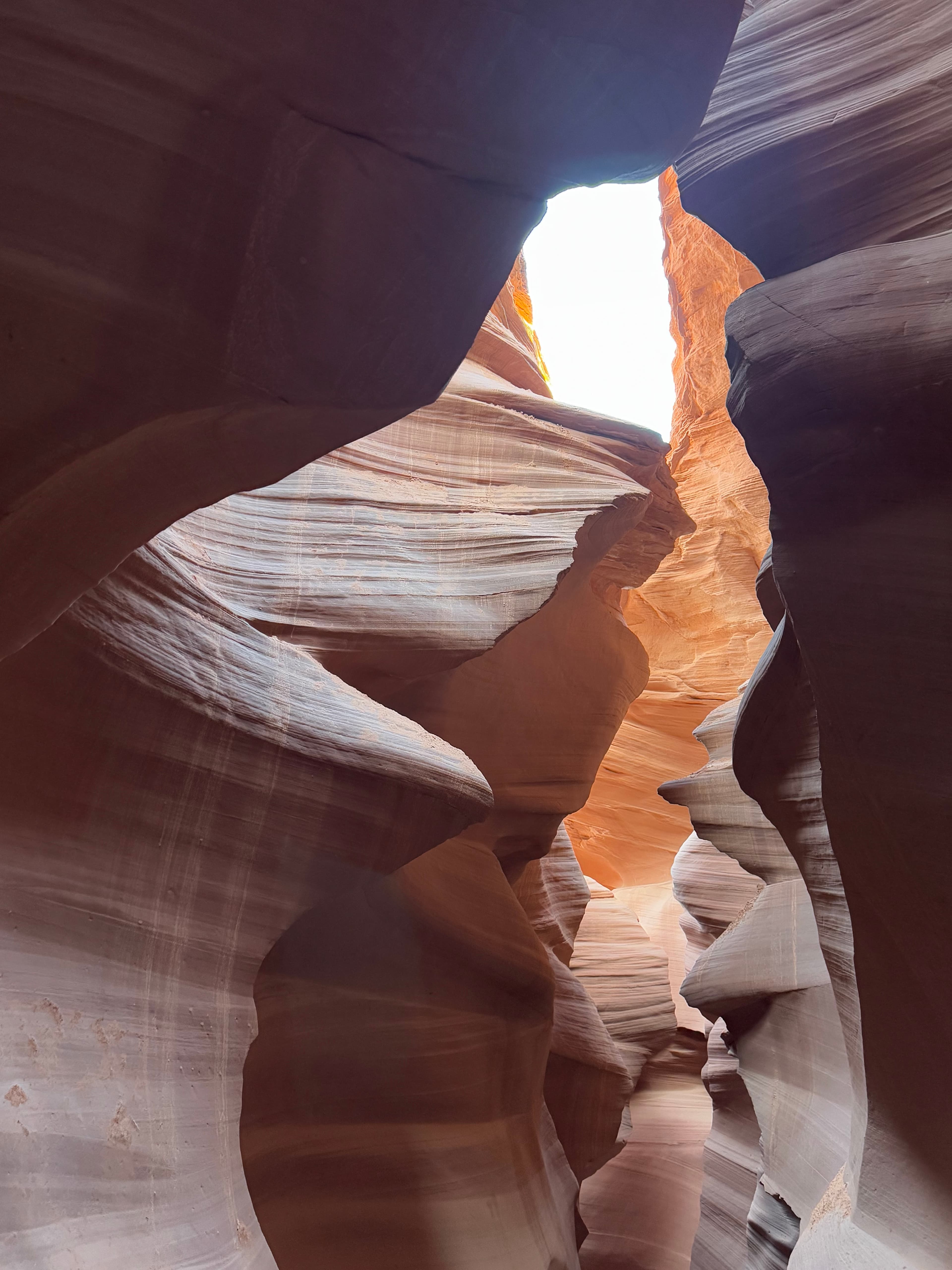Arizona, Dec 2024